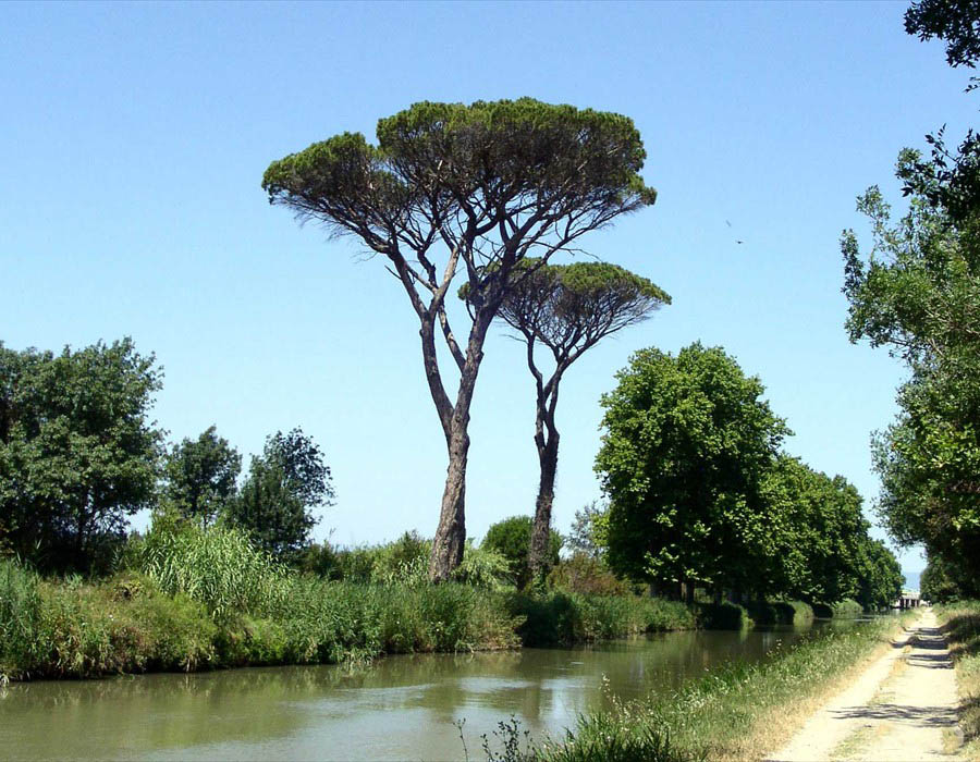 Canal Du Midi - schöner Radweg